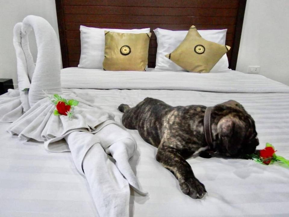 Vivi Boutique Room Hotel Sha Plus Rawai Dış mekan fotoğraf